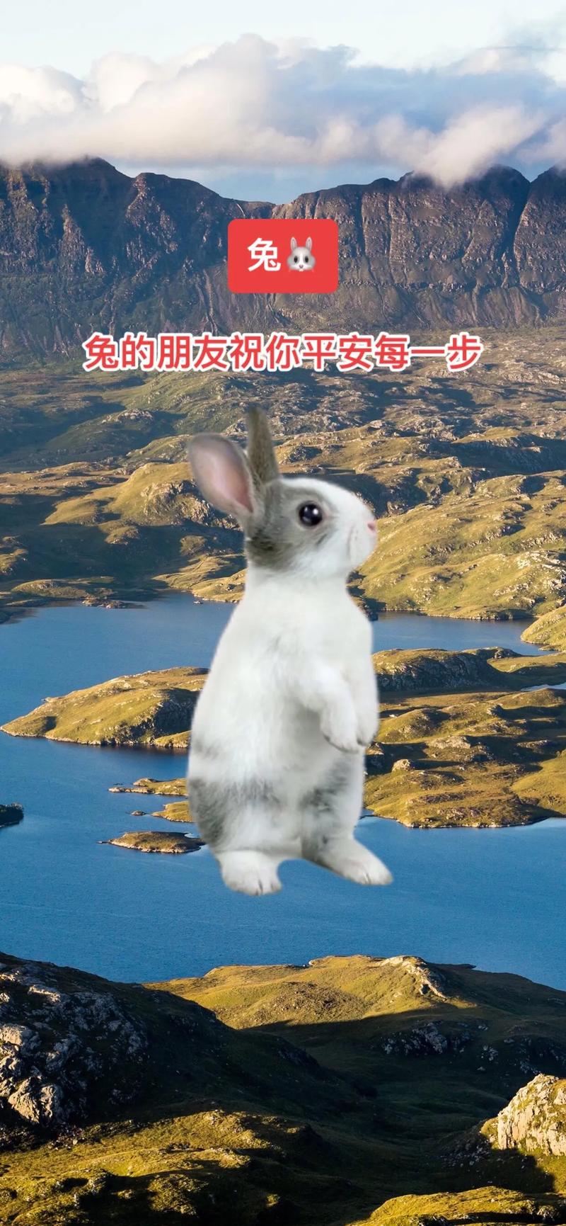 都说十兔九不全，属兔人的三段人生关键期，你在哪一个？