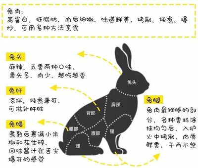 兔兔这么可爱,为什么要吃兔兔?!!!&rdquo;_兔肉